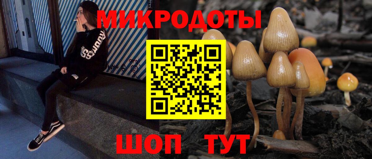 Краснокаменск  Псилоцибиновые грибы Psilocybe  Вход с VPN 
